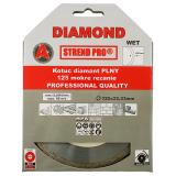 DISC DIAMANTAT, CONT.125MM 20-521B BR10
